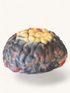 Halloween Soap Brain | 2.5 lbs Party Decor & Soap Favors - Voodoo Scented