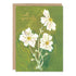 Biely & Shoaf - Emerald Bouquet Sympathy Card
