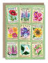 Biely & Shoaf - Seed Packets Blank Card