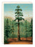 Biely & Shoaf - So Amazing Congrats Greeting Card