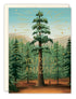 Biely & Shoaf - So Amazing Congrats Greeting Card