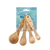 Beechwood 4-Piece Succulent Measuring Spoons